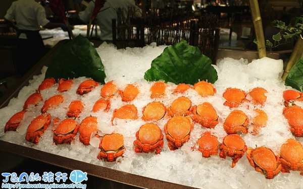 「豐FOOD海陸百匯」Blog遊記的精采圖片